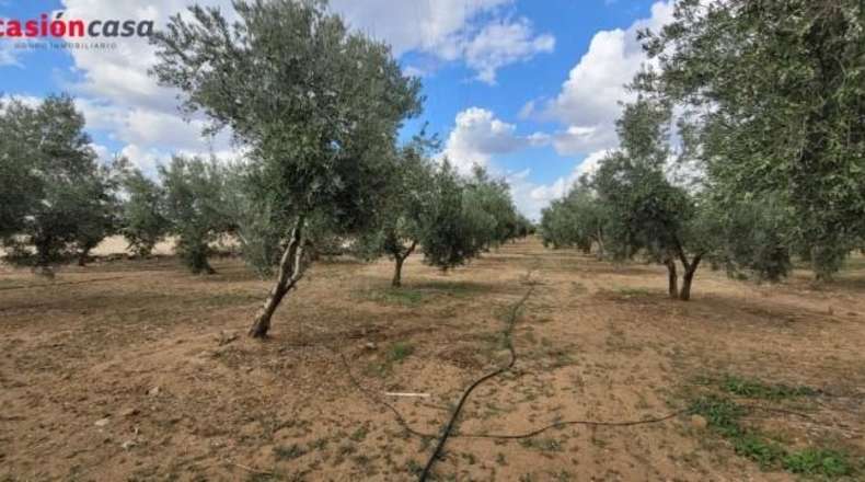 Córdoba - Alcaracejos - 15224m2