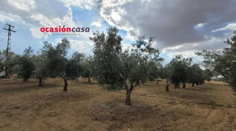 Córdoba - Alcaracejos - 15224m2