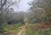 Non-developable land for sale on España, Sopelana, ref: TR192248 photo