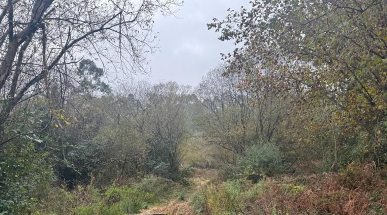 Vizcaya - Sopelana - 22800m2