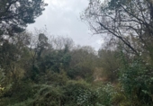 Non-developable land for sale on España, Sopelana, ref: TR192248 photo