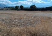 Non-developable land for sale on España, Albolote, ref: TR174399 photo