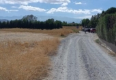 Non-developable land for sale on España, Albolote, ref: TR174399 photo