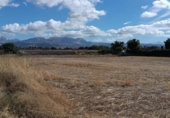 Non-developable land for sale on España, Albolote, ref: TR174399 photo