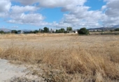 Non-developable land for sale on España, Albolote, ref: TR174399 photo
