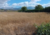 Non-developable land for sale on España, Albolote, ref: TR174399 photo