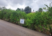 Sòl urbà en venda a la España, Múrcia, ref.: TR176843 foto