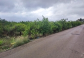 Sòl urbà en venda a la España, Múrcia, ref.: TR176843 foto