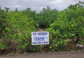 Sòl urbà en venda a la España, Múrcia, ref.: TR176843 foto