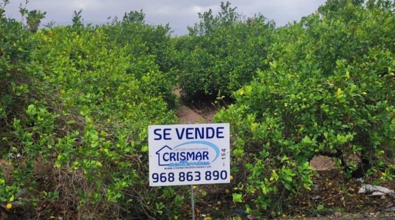 Murcia - Murcia - 1691m2