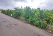 Sòl urbà en venda a la España, Múrcia, ref.: TR176843 foto