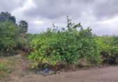 Sòl urbà en venda a la España, Múrcia, ref.: TR176843 foto