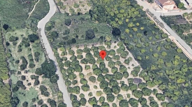 Murcia - Murcia - 1691m2
