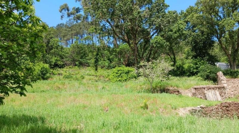Pontevedra - As Medas - 1550m2