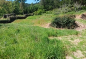 Casa de campo con terreno en venta en la España, As Medas, ref: TR357764 foto