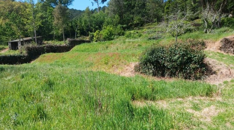 Pontevedra - As Medas - 1550m2