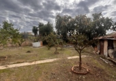 Xalet independent amb terreny en venda a la España, Cañaveral, ref.: TR357773 foto