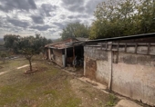 Xalet independent amb terreny en venda a la España, Cañaveral, ref.: TR357773 foto