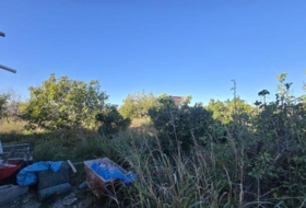 Molina de Segura 1485&nbsp;m² 