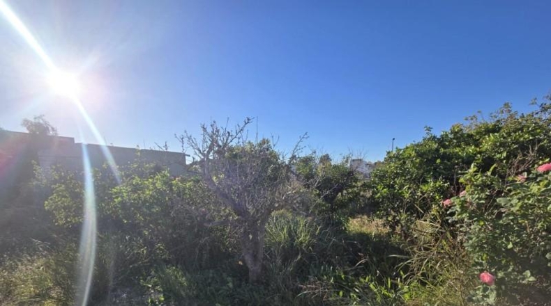 Murcia - Molina de Segura - 1485m2