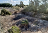 Land suitable for development for sale on España, Cuevas del Almanzora, ref: TR364005 photo
