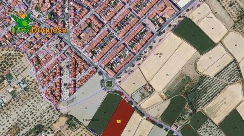 Granada - Los Llanos - 5000m2