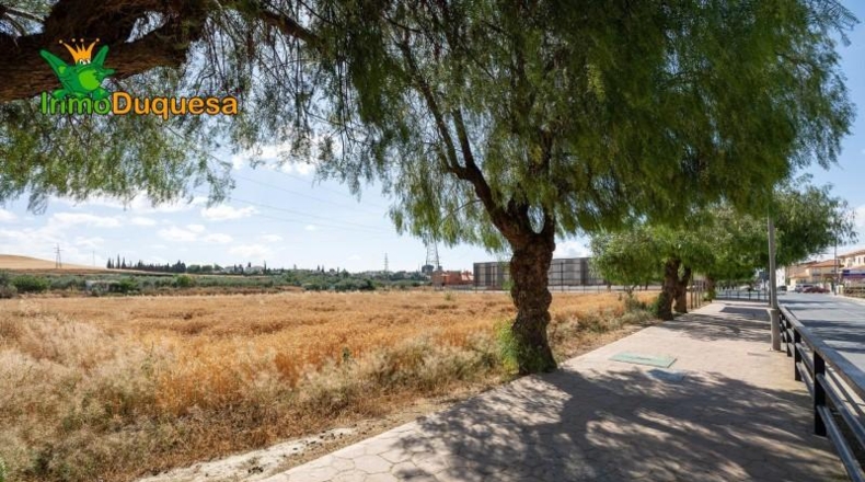 Granada - Los Llanos - 5000m2