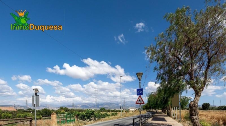 Granada - Los Llanos - 5000m2