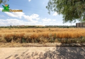 Xalet independent amb terreny en venda a la España, Gabia Grande, ref.: TR238384 foto