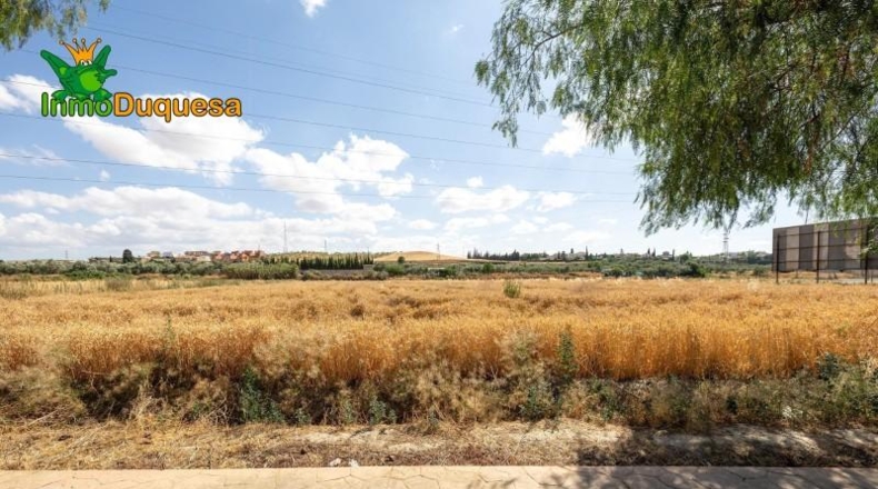 Granada - Los Llanos - 5000m2