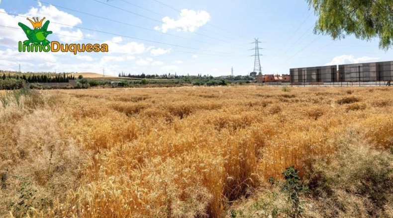Granada - Los Llanos - 5000m2
