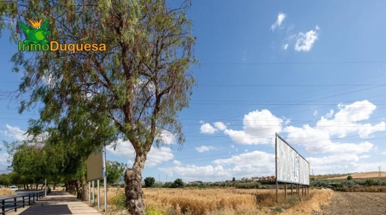 Granada - Los Llanos - 5000m2