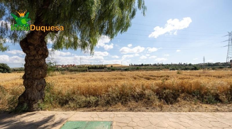 Granada - Los Llanos - 5000m2