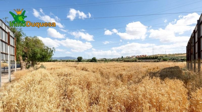 Granada - Los Llanos - 5000m2