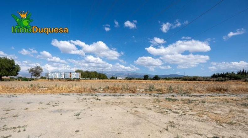 Granada - Los Llanos - 5000m2