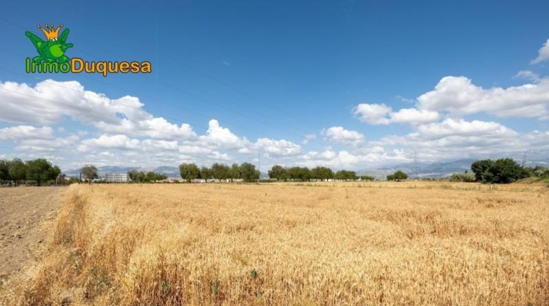 Granada - Los Llanos - 5000m2