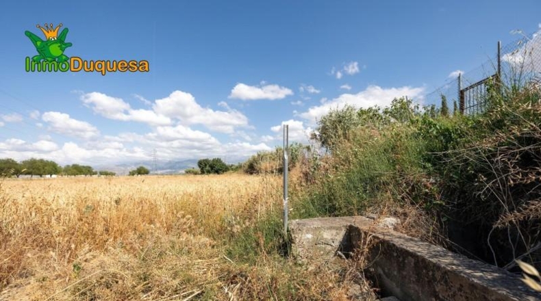 Granada - Los Llanos - 5000m2
