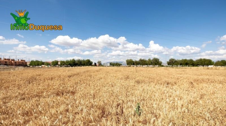 Granada - Los Llanos - 5000m2