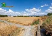 Xalet independent amb terreny en venda a la España, Gabia Grande, ref.: TR238384 foto