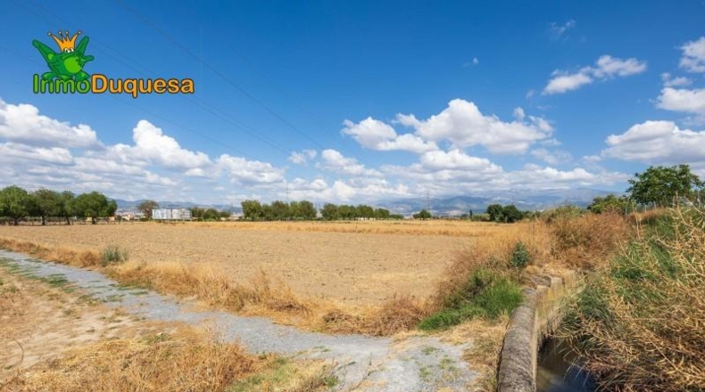 Granada - Los Llanos - 5000m2