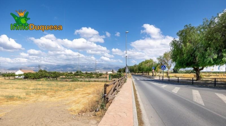 Granada - Los Llanos - 5000m2