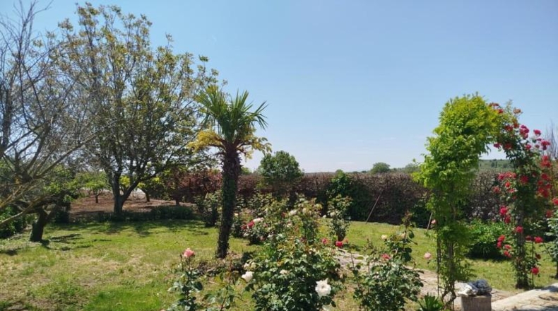 Наварра - Lerín - 2800m2