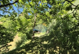 Yunquera 17393&nbsp;m² 