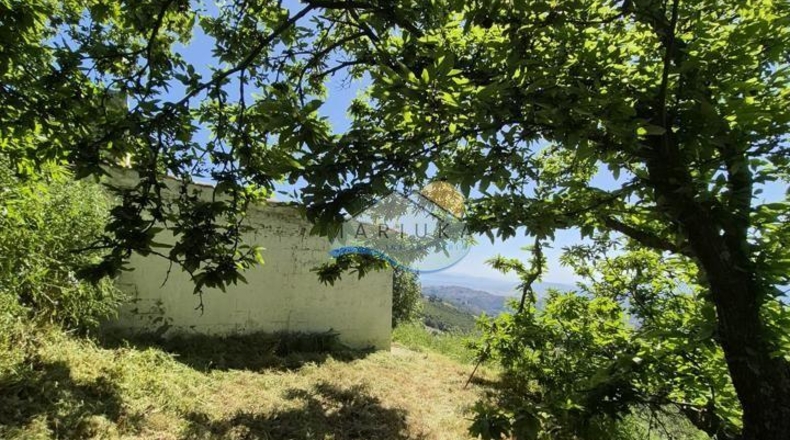 Малага - Yunquera - 17393m2