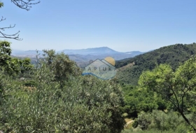 Yunquera 17393&nbsp;m² 