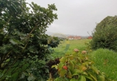 Urban land for sale on España, Vigo, ref: TR335210 photo