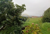 Urban land for sale on España, Vigo, ref: TR335210 photo