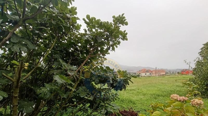 Pontevedra - Vigo - 1070m2