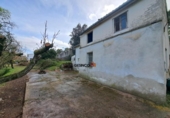 Detached villa with land for sale on España, Xàtiva, ref: TR338355 photo