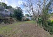 Detached villa with land for sale on España, Xàtiva, ref: TR338355 photo